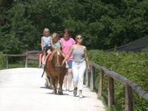 Ponyreiten im Freizeitpark Lochmühle © Freizeitpark Lochmühle