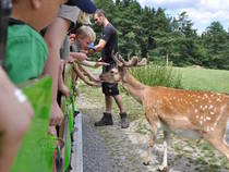 Wildgehege im Panorama-Park © Panorama-Park Sauerland