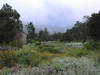 Santa Barbara Botanic Garden © Antandrus