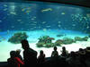 Sunshine International Aquarium