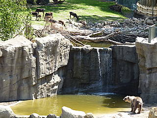 © Zoo Osnabrück