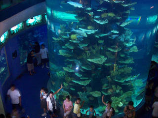 Qingdao Underwater World & Aquarium