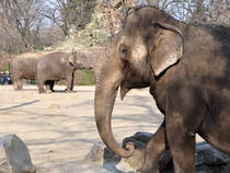 Zoologischer Garten Berlin
