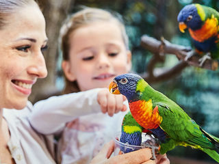 Weltvogelpark Walsrode © Weltvogelpark Walsrode