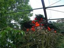 Natur pur im Vogelpark Walsrode