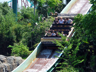 Fotos Und Videos Vom Busch Gardens Tampa Bay Freizeitpark In Tampa