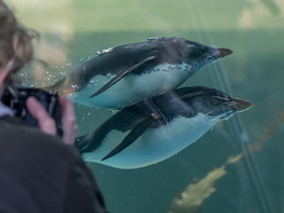 Bayerns schönste Zoos