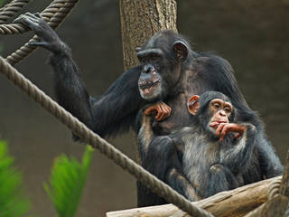 Zoo Leipzig © Zoo Leipzig