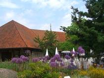 Natur pur im Vogelpark Walsrode