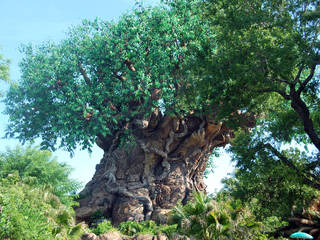 Walt Disney World - Disney's Animal Kingdom Park