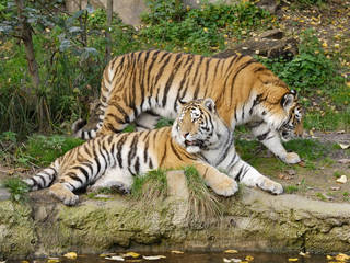 Zoo Leipzig © Zoo Leipzig