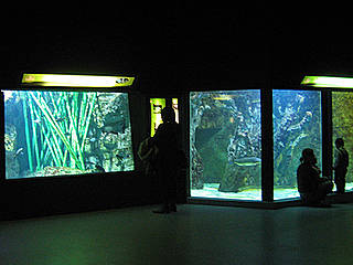 Aquarium Du Grand Lyon
