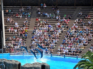 Der Palmitos Park auf Gran Canaria