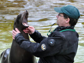 Zoologischer Garten Berlin
