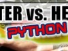 Vester vs. Herre Folge 15: Python