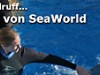 Die Sklaven von SeaWorld